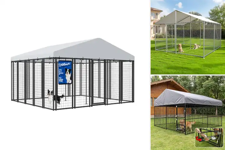 Detailed view of Best 10×10 Outdoor Dog Kennels: Top 10 Safe & Sturdy Picks