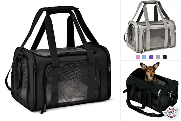 Detailed view of Best Airline-Compliant Pet Carriers