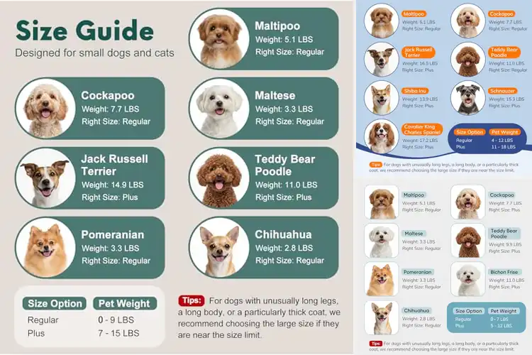 Detailed view of Best Anxiety-Reducing Pet Carriers