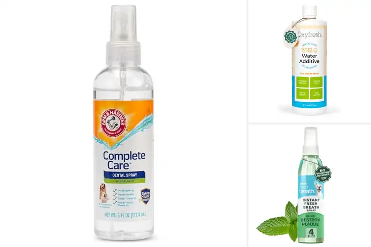 Detailed view of Best Breath Fresheners For Pets – Picks for Fresh Smiles