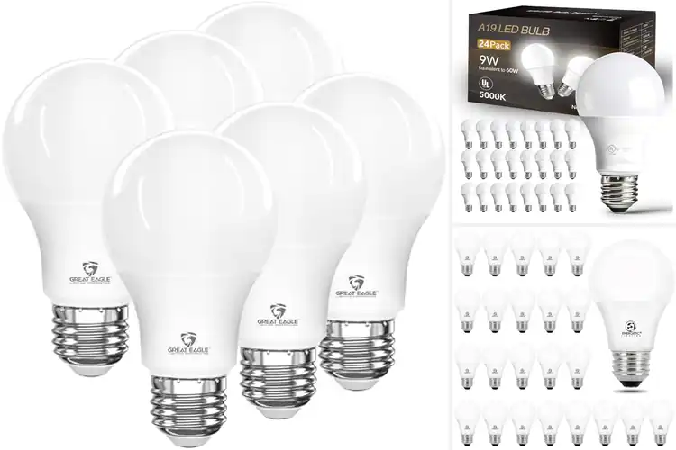 Detailed view of Best Cool White Bulbs