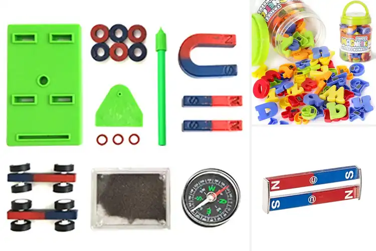 Detailed view of Best Educational Magnets