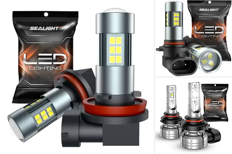 Detailed view of Best Fog Light Bulbs