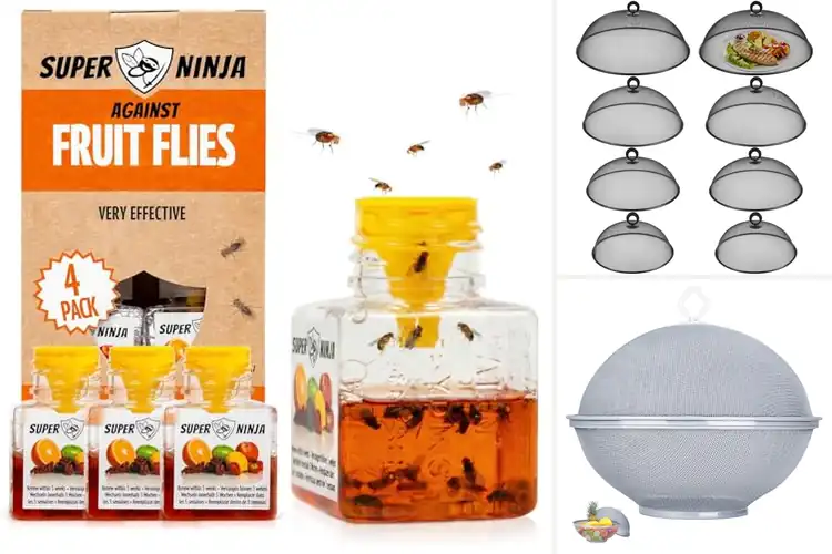 Detailed view of Best Fruit Fly Protections: 10 Easy Kitchen Fixes