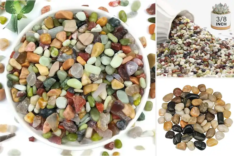 Detailed view of Best Gravels For Plants: Grow Healthier Plants