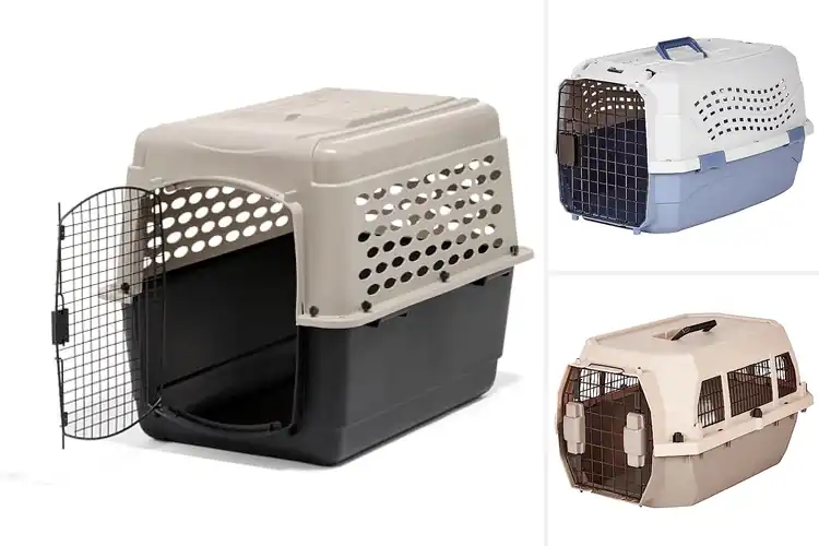 Detailed view of Best Hard-Sided Pet Crates: Top Picks for Safety & Comfort