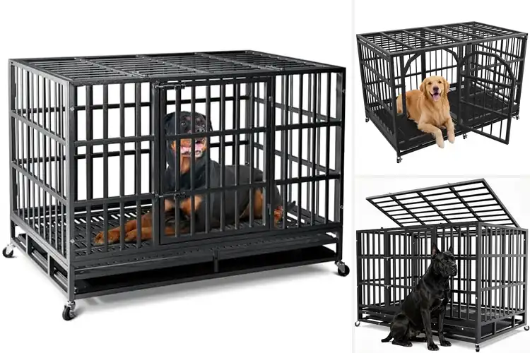 Detailed view of Best Heavy Duty Dog Kennels
