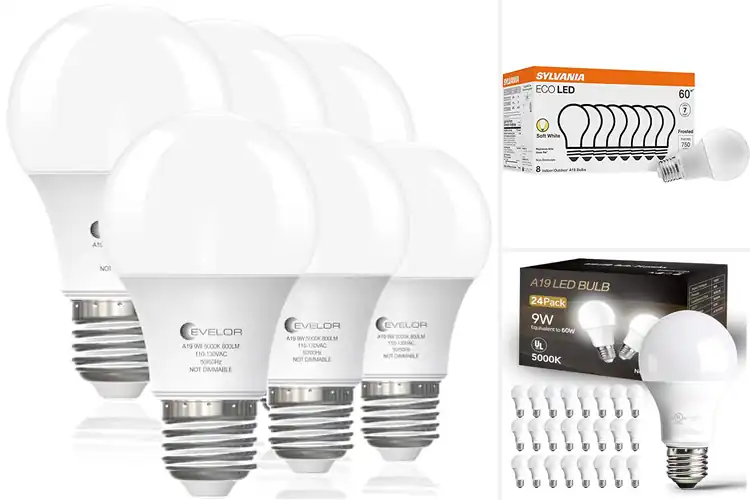 Detailed view of Best Long Lasting Bulbs