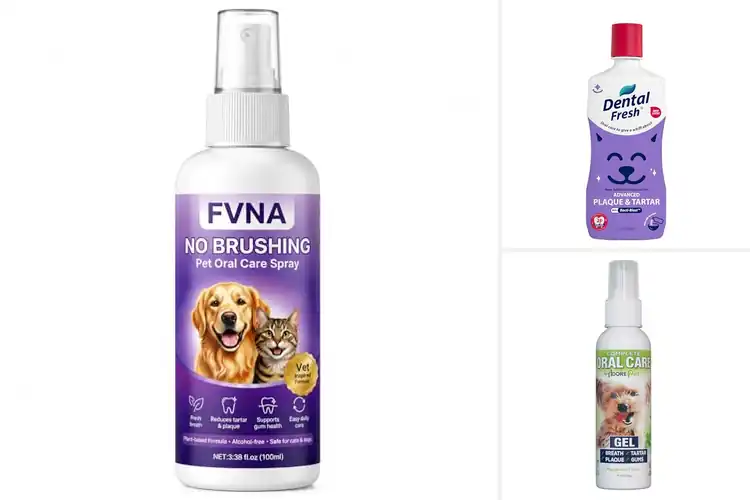 Detailed view of Best Oral Care Products For Pets