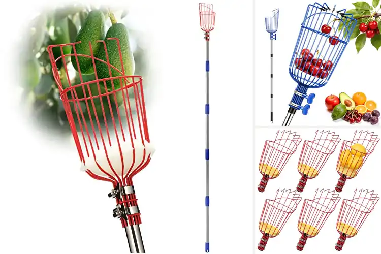 Detailed view of Best Orchard Fruit Pickers