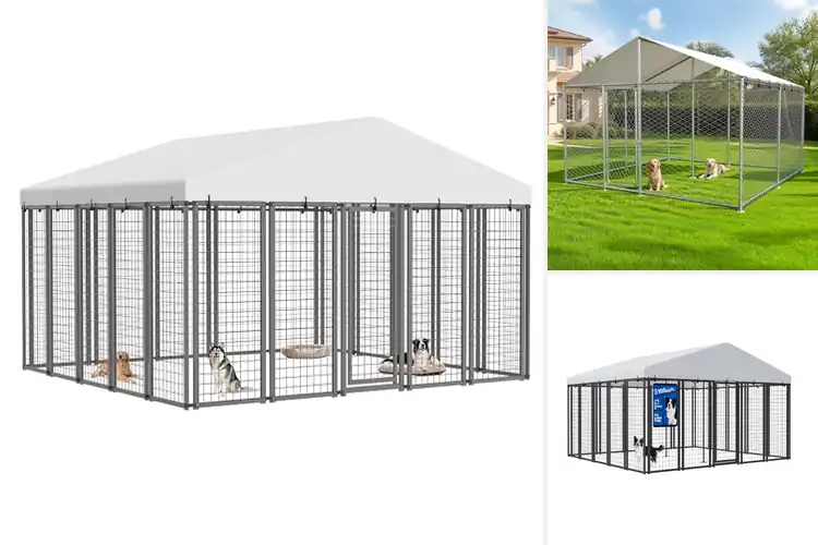 Detailed view of Best Outdoor Dog Kennels With Waterproof Roof