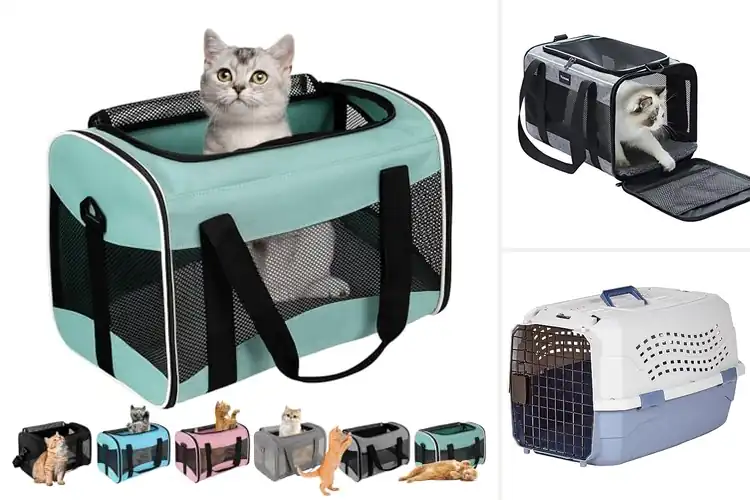 Detailed view of Best Pet Carriers For Cats: 10 Cozy & Safe Travel Solutions