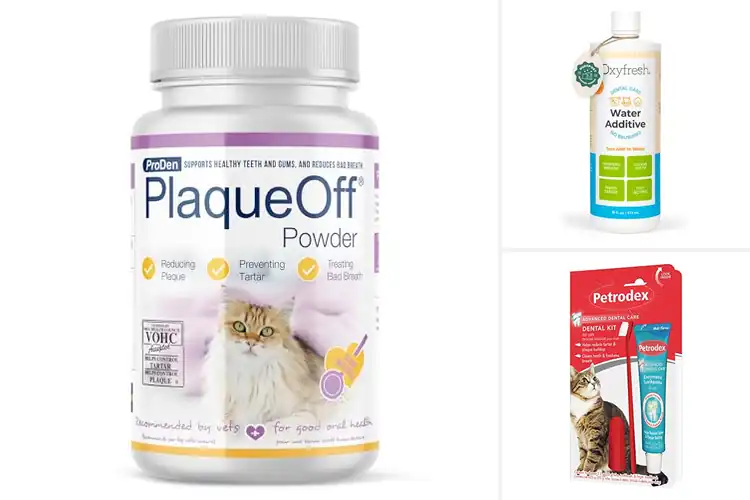 Detailed view of Best Plaque Removers For Cats