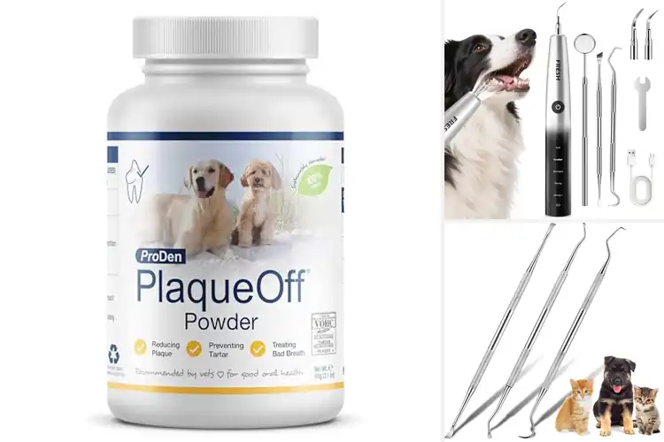 Detailed view of Best Plaque Removers For Dogs: Top 10 Picks for Clean Teeth