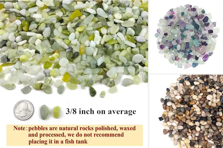 Detailed view of Best Rocks For Bamboo