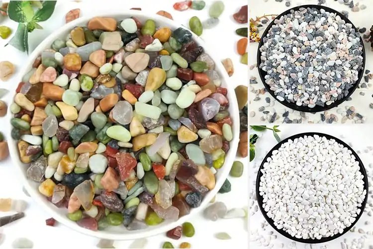 Detailed view of Best Rocks For Succulents: Top Picks for Drainage & Style