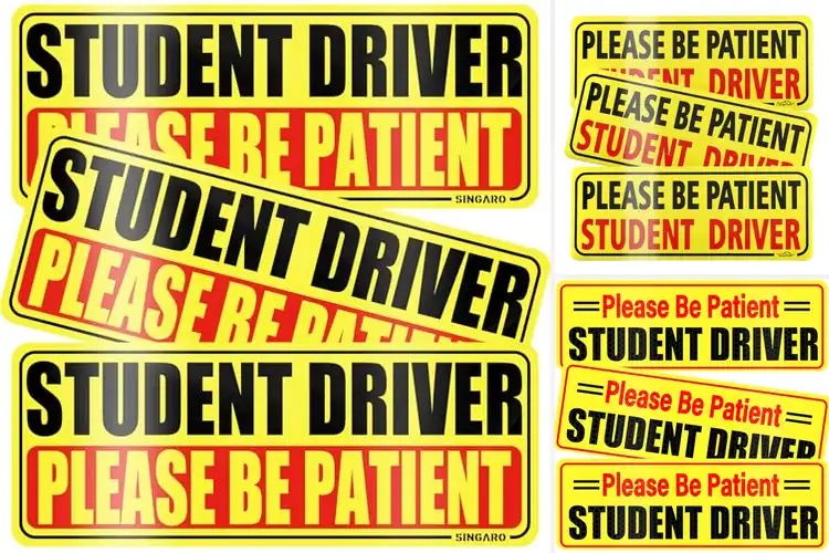 Detailed view of Best Student Learning Magnets: Top 10 Classroom Picks