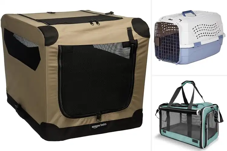Detailed view of Best Travel Crates For Small Dogs