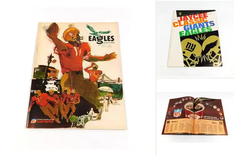 Detailed view of Best Vintage NFL Football Programs: Discover Rare History
