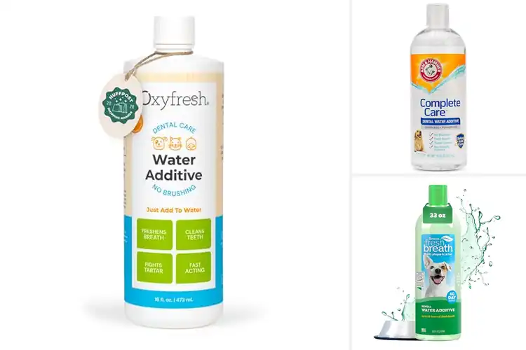 Detailed view of Best Water Additives For Dogs: Top 10 for Fresh Breath