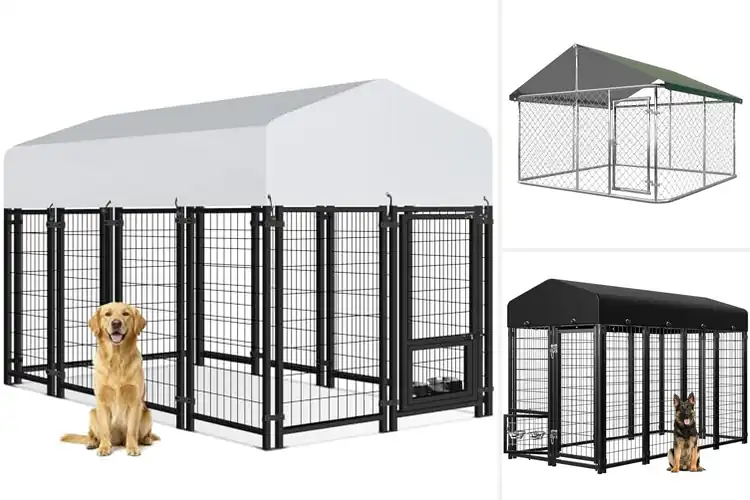 Detailed view of Best Weatherproof Outdoor Dog Kennels