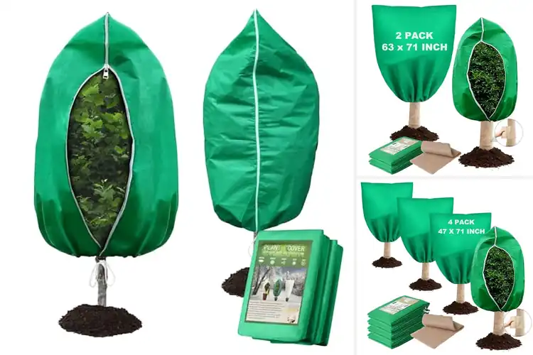 Detailed view of Best Winter Tree Covers: Top 10 Picks for Protection